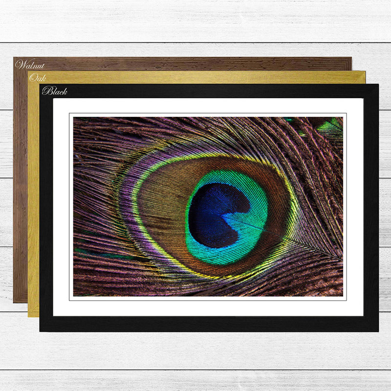 Peacock Feather Framed Photographic - Framed Print, Oak