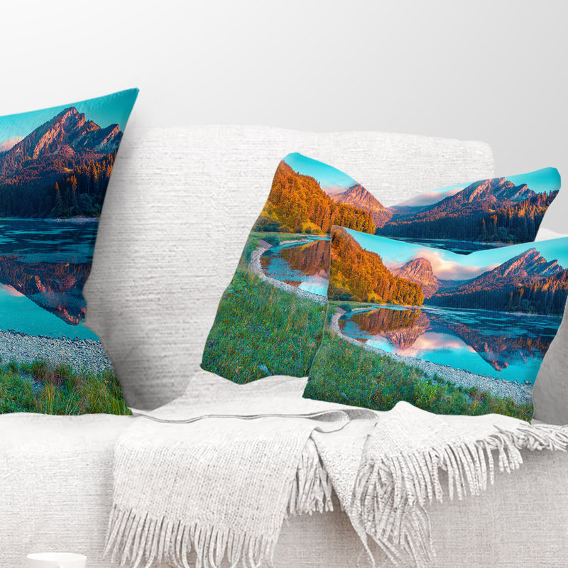 Throw Pillow