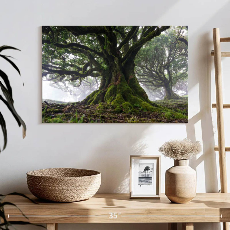 Harnek Mossy Old Trees, H 16 po x l 24 po