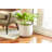 12" High Pineapple Planter, 2-pack