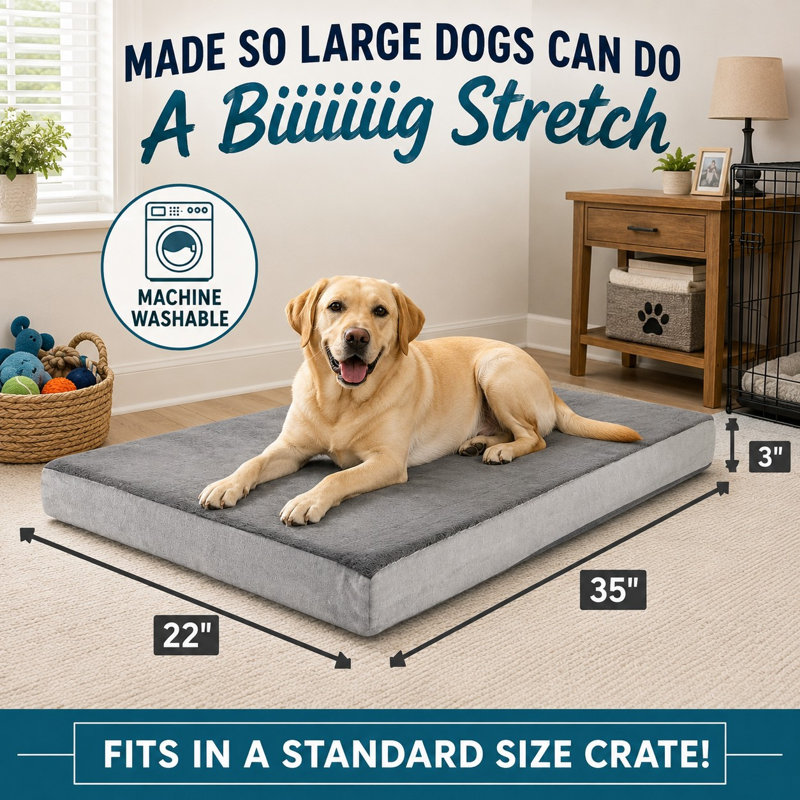 Conçu pour les grands chiens, ce lit orthopédique gris en mousse à mémoire de forme allie confort, durabilité et facilité d'entretien (lavable à la machine).