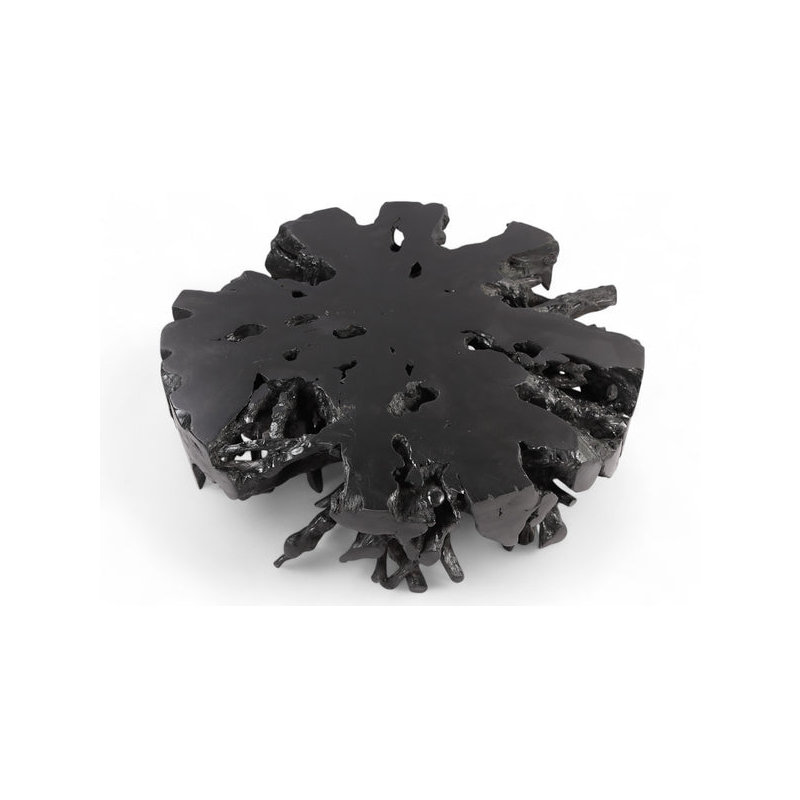 Racine de teck noir organique 63 po 63 po