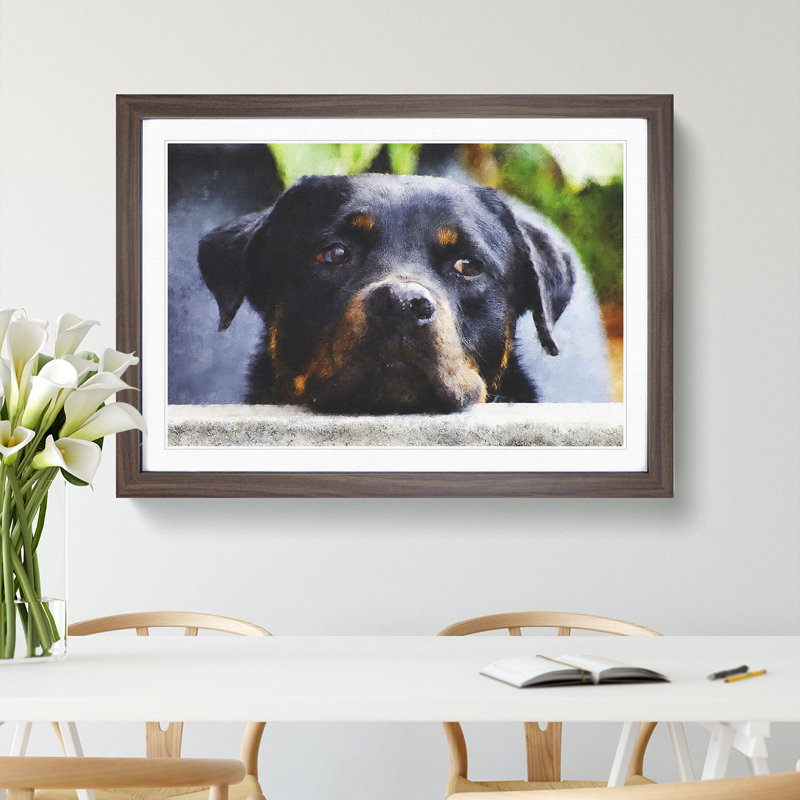 Rottweiler Dog - Picture Frame Graphic Art, 36cm H x 48cm W x 2cm D, Walnut Framed