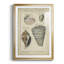 Étude de coquillage rétro II, impression sur papier-307313166-307313167