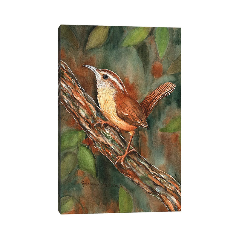 Carolina Wren by Christine Reichow - Wrapped Canvas Painting, 20.32 cm H x 30.48 cm W