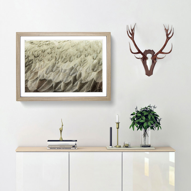 Feathers - Picture Frame Graphic Art Print, 50cm H x 76cm W x 2cm D, Oak