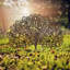 Carolene Metal Garden Stake-1846152003