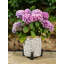 Edna Weather Resistant Planter Feet