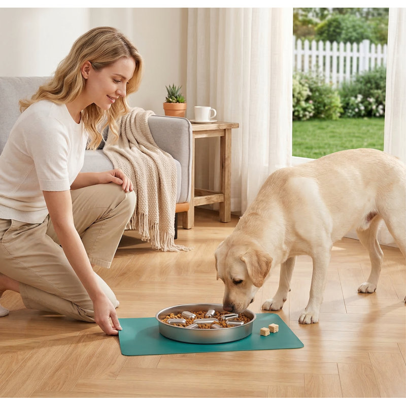 Bol pour chien à alimentation lente en acier inoxydable avec tapis antidérapant, 2 tasses, pour les mangeurs rapides, anti-déglutition, va au lave-vaisselle
