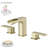 2-handle Bathroom Faucet with Drain Assembly-95166376
