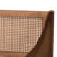 Kaashvi Ogden Mid-Century Modern Wood and Synthetic Rattan Daybed