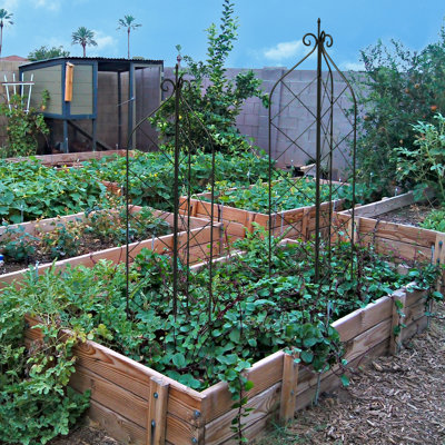 Treillis de jardin en mÃ©tal Roseville de 45 cm pour plantes grimpantes et en pot