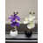 White/Purple is out of stock selected
