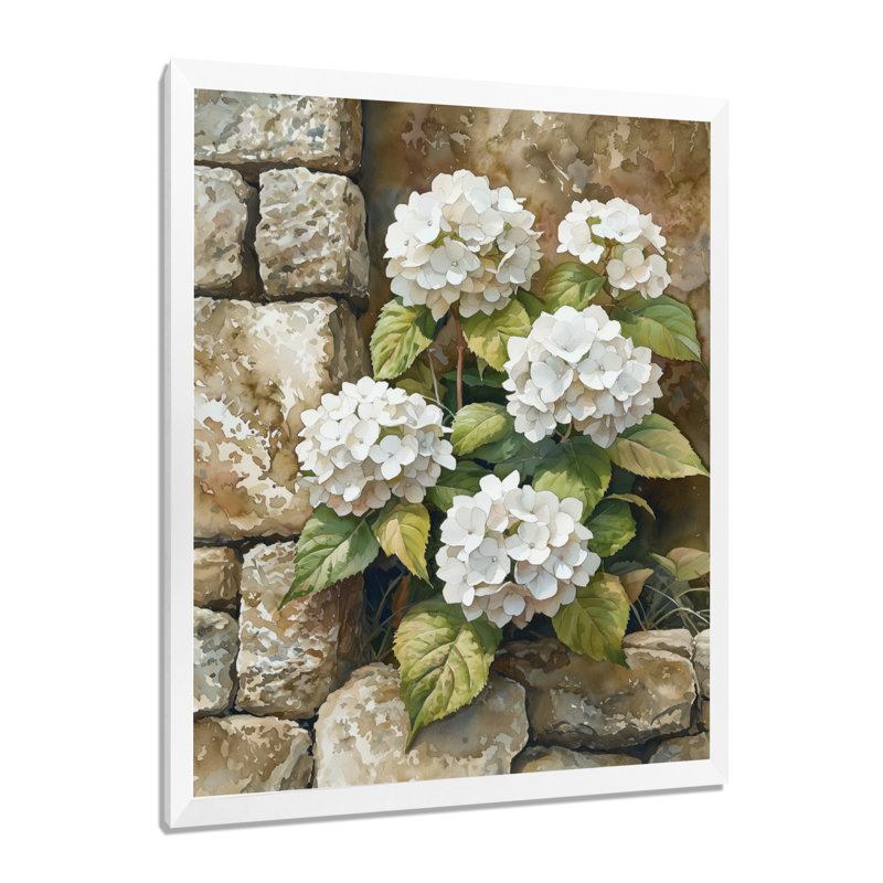 Hydrangeas by the Stone Wall - Art mural sur toile florale, H 32 po x l 24 po, Reproduction encadrée d'une seule photo, Blanc