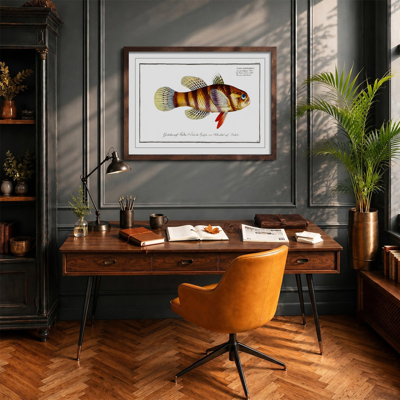 Great-Scaled Umber Fish by M.E. Bloch - Framed Print, 48cm H x 65cm W x 2cm D, Walnut Framed