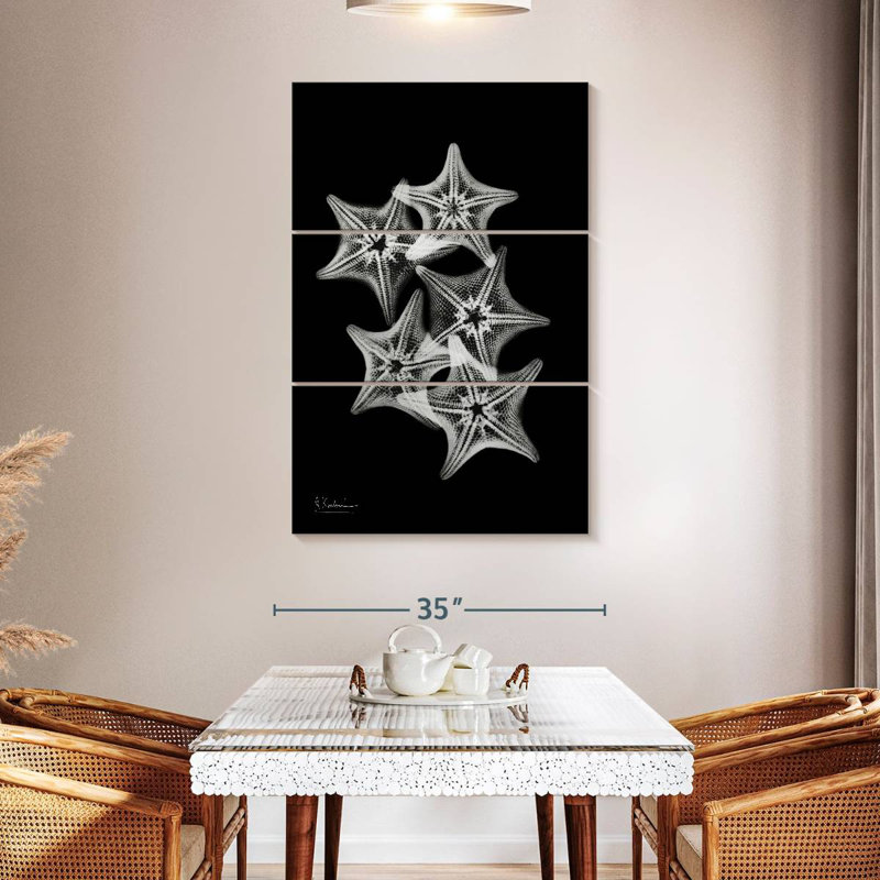 Brampt Starfish Collage, 50" H x 32" W