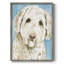Labradoodle I, reproduction encadrée - bois massif-983755310