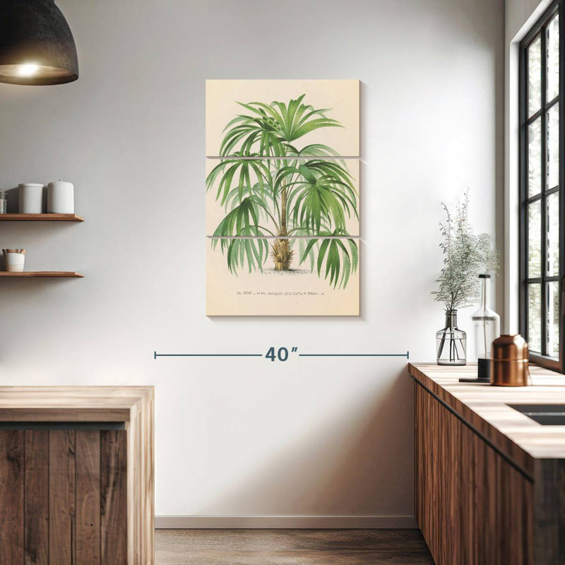 Harnek Palmier II, H 38 po x l 24 po