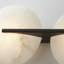 Asteria 2 Light Wall Sconce-91143739