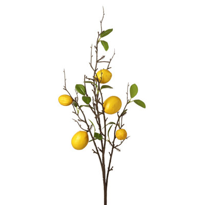 Arrangement