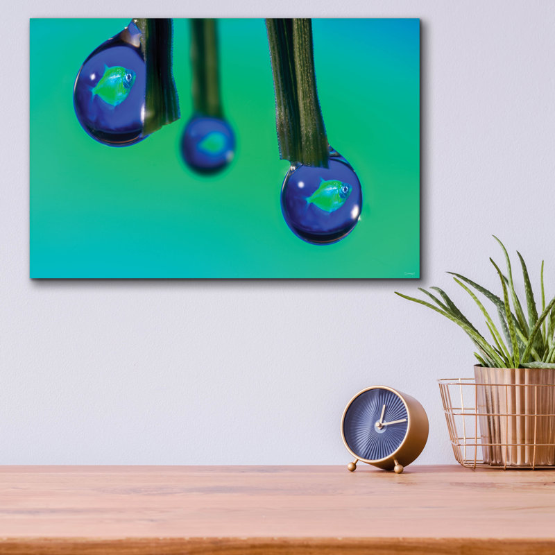 Winston Porter «Glofish In A Drop 1» par Gordon Semmens, art mural en verre acrylique, ACR-50688