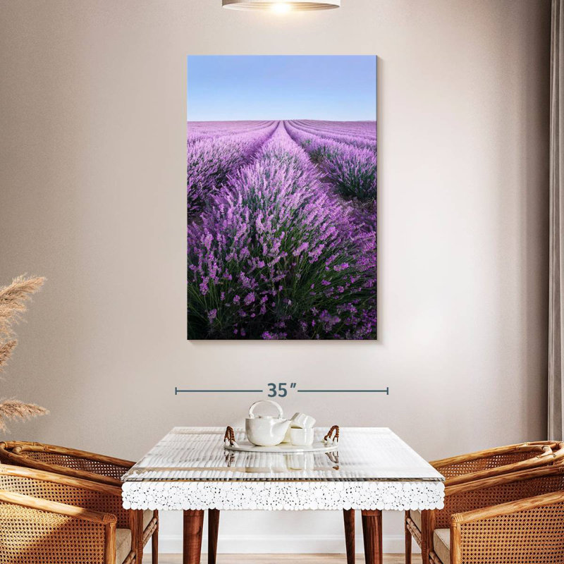 Lavande française Alvord Provence, H 48 po x l 32 po