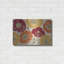 «A Poppys Touch I Spice» par Daphne Brissonnet-1059809420