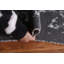 Tapis oriental unique en laine / soie à motif abstrait noué à la main 5 pi 6 po x 7 pi 8 po
