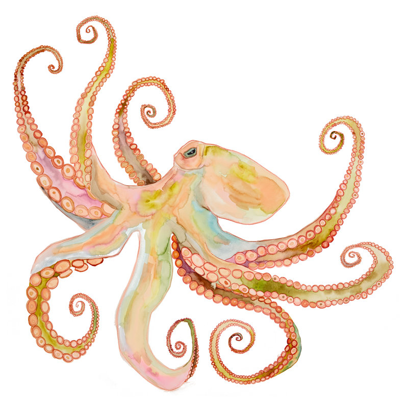 «Solo Octopus» - reproduction d'art, H 12 po x L 12 po x l 1,25 po, Toile tendue