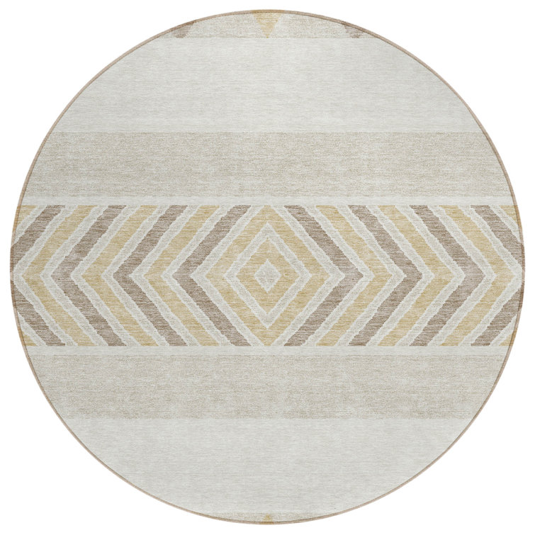  Chayden Area Rug with Non-Slip Backing