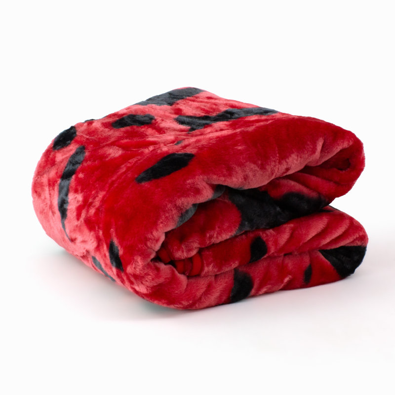 NCAA Knitted Throw Blanket, Arkansas