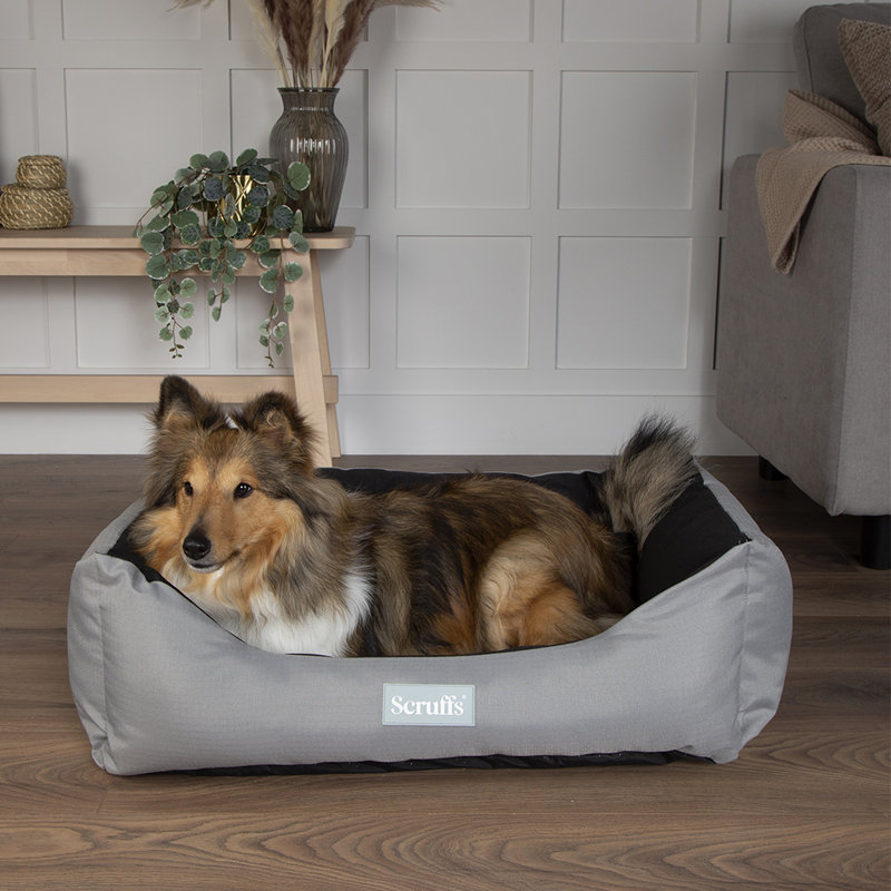 Polyester Pet Bed, 20cm H x 50cm W x 60cm D, Storm Grey