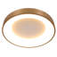 Leday LED Semi Flush Mount-1896788018-1952857902