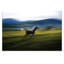 Print on Canvas-25210982-25210977