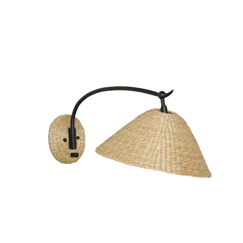 1 - Light Swing Arm