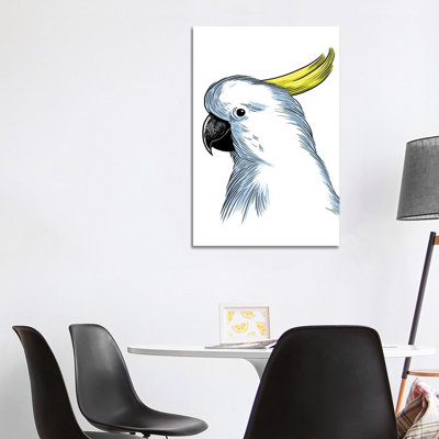 Sketch Parrot 1 Piece Wrapped Canvas Painting