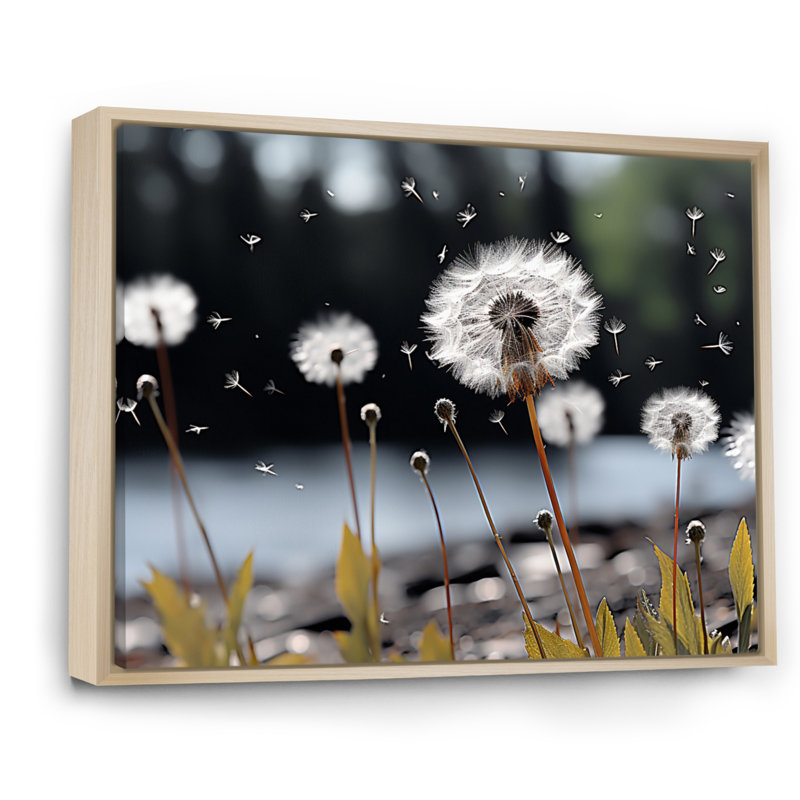 «White Black Dandelion Whispers I», reproduction sur toile, Cadre naturel flottant, H 16 po x l 32 po x P 1 po