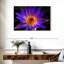Harnek Hawaiian Water Lily-107671192