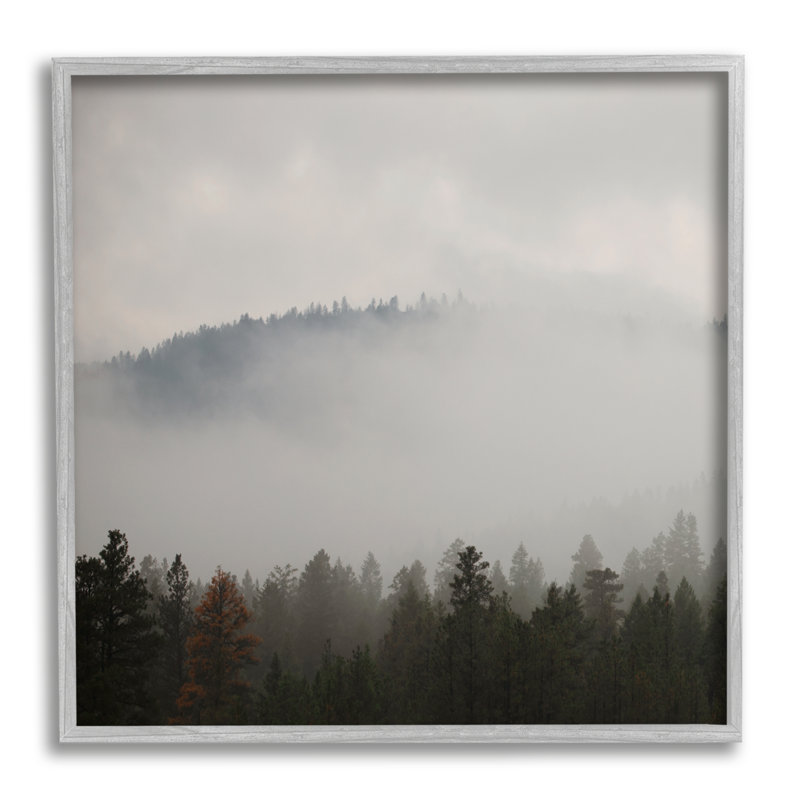 «Floater Frame», reproduction de photo sur bois, H 12 po x l 12 po x P 1,5 po, Estampe numérique Farmhouse