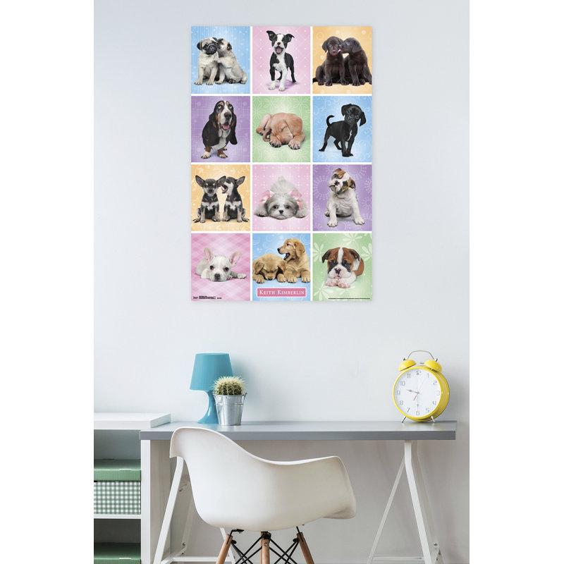 Animals Paper Print