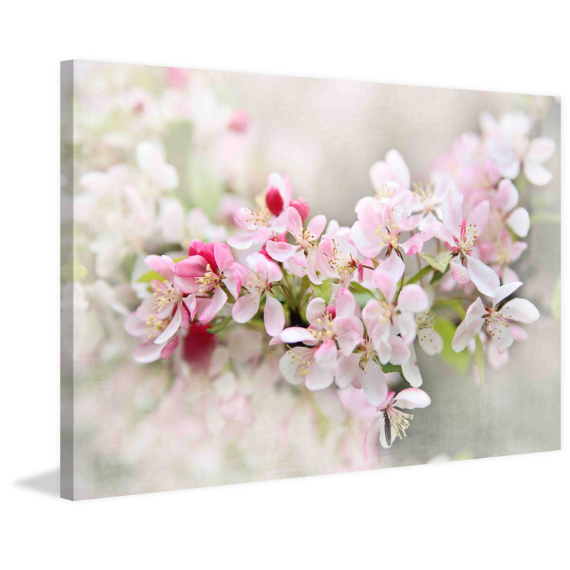 Sylvia Cook - Wrapped Canvas Print, 20cm H x 30cm W x 3.81cm D