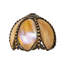 Dome Lamp Shade