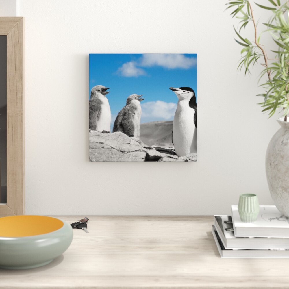 Leinwandbild Süße Pinguine