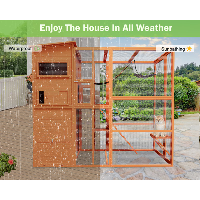 Wayfair Cat Catio Outdoor PETSCOSSET 71