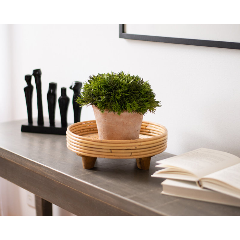 6'' Faux Cypress Topiary in Terracotta Pot