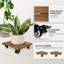 Plant Stand