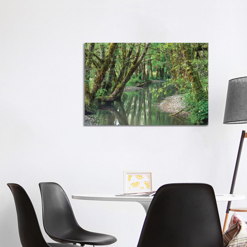 Red Alder Trees with Moss, Hoh Rainforest 1 Piece Wrapped Canvas Wall Art, 101.6 cm H x 66.04 cm W x 3.175 cm D