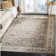 Petronella Viscose Oriental Rug in Ivory/Gray
