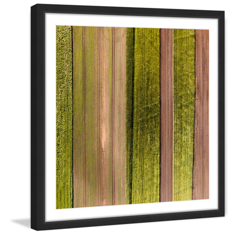 Single Picture Frame Print, 41 cm H x 41 cm W x 3.81 cm D