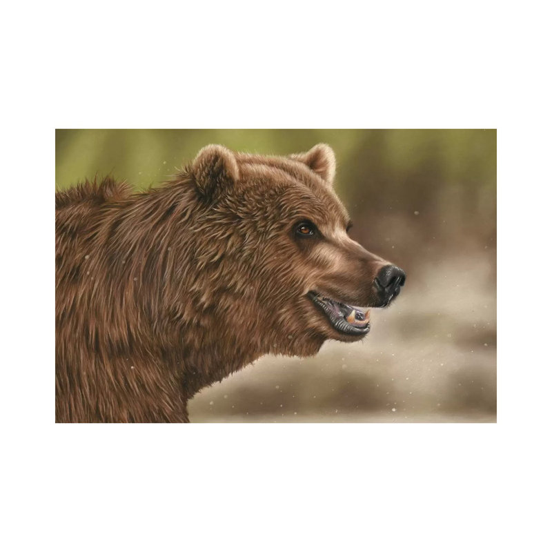 Grizzly Bear by Richard Macwee - Wrapped Canvas Gallery-Wrapped Canvas Giclée, 30.48 cm H x 45.72 cm W